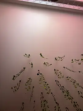 -Sexy Barbie- online show from 03/11/25, 02:43