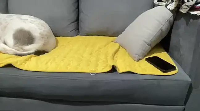 4small4inchlol online show from 01/28/25, 10:12