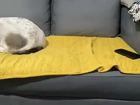 4small4inchlol online show from 02/05/25, 01:54