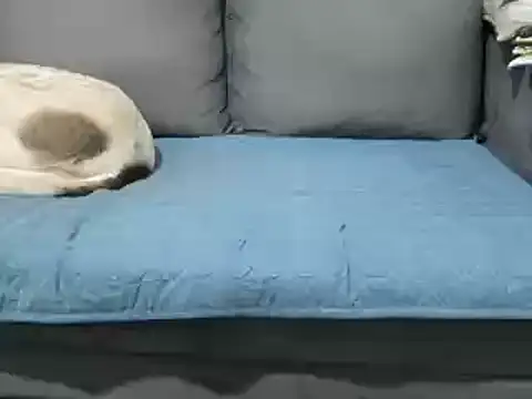 4small4inchlol online show from 02/20/25, 12:15