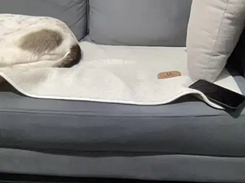 4small4inchlol online show from 03/15/25, 11:19