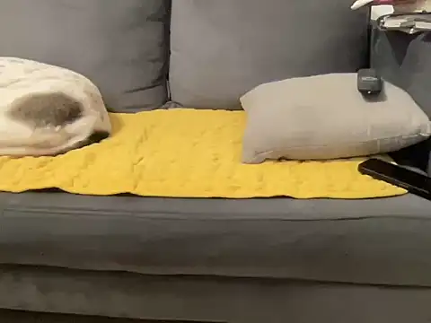 4small4inchlol online show from 01/10/26, 03:25