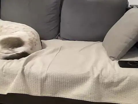 4small4inchlol online show from 03/21/26, 12:10