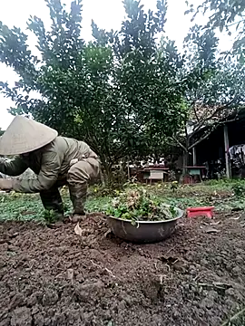 Snapshot of Fuckmehard2xx chatting on 02/23/25, 02:51 Fuckmehard2xx online show from 02/23/25, 02:51