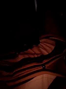 Snapshot of FeltedEuropium chatting on 03/20/25, 11:56 FeltedEuropium online show from 03/20/25, 11:56