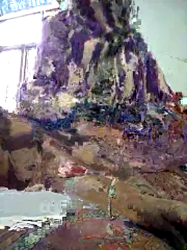 Snapshot of FeltedEuropium chatting on 12/18/25, 08:09 FeltedEuropium online show from 12/18/25, 08:09