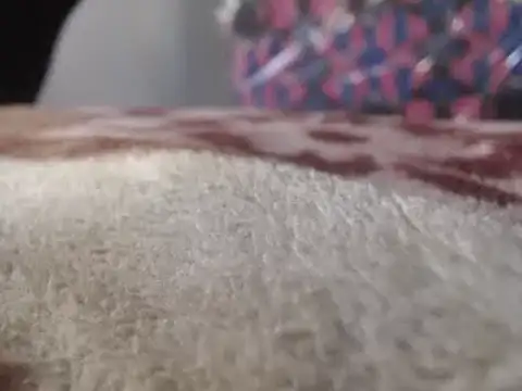 hoittytoittyxx online show from 03/03/25, 03:20