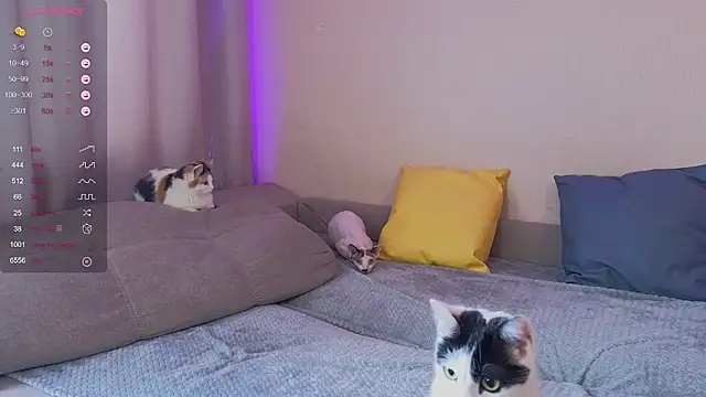 Snapshot of EkaterinaUpple chatting on 01/30/25, 05:52 EkaterinaUpple online show from 01/30/25, 05:52