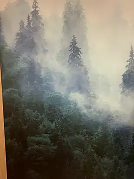 ladoucedu34 online show from 01/12/26, 03:39