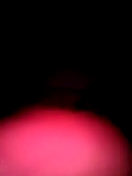 Porco81cazzo online show from 12/04/25, 03:38