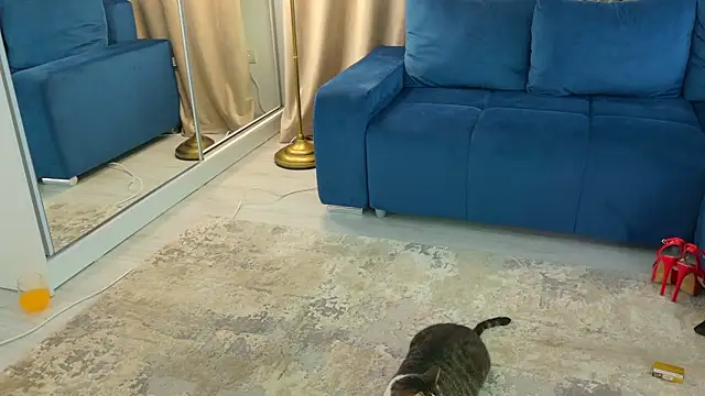 Snapshot of Addictive_T chatting on 02/12/25, 04:54 Addictive T online show from 02/12/25, 04:54