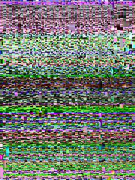 Miss-Soka online show from 01/11/26, 01:10