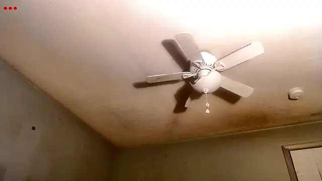 VanceFontaine online show from 03/24/26, 01:21