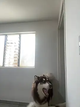 Arilw online show from 02/01/25, 02:13