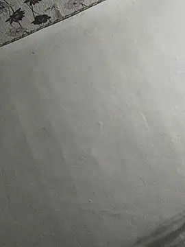 SweetLeila40 online show from 02/17/25, 08:26