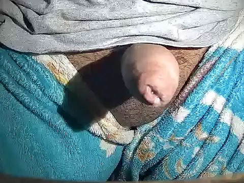 MyOsitobebe online show from 02/08/26, 07:39