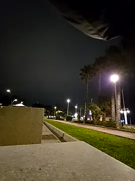 charlye inkkkk online show from 02/28/26, 11:39