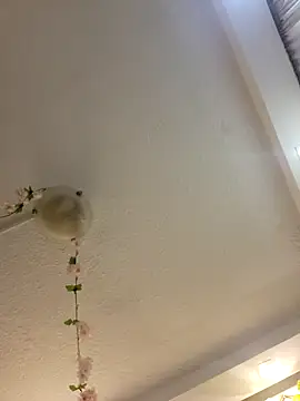 Lau1127 online show from 02/08/26, 11:08