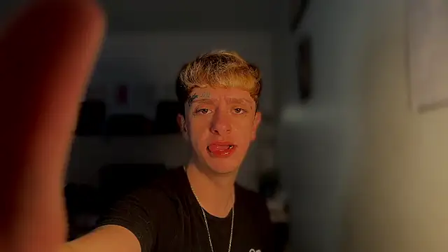 Snapshot of twentywithafelonyy chatting on 03/14/25, 03:36 twentywithafelonyy online show from 03/14/25, 03:36