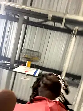 Snapshot of sneakylink13__ chatting on 10/20/25, 01:17 sneakylink13 online show from 10/20/25, 01:17