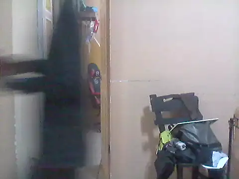 Snapshot of _Dmente_ chatting on 10/17/25, 06:05 Dmente online show from 10/17/25, 06:05