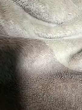 AssamSilchar93 online show from 01/20/25, 05:27