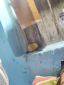 Snapshot of Natasha-In69 chatting on 01/31/25, 10:10 Natasha-In69 online show from 01/31/25, 10:10