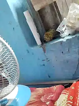 Snapshot of Natasha-In69 chatting on 02/06/25, 10:43 Natasha-In69 online show from 02/06/25, 10:43