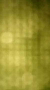 Snapshot of Sexybeer2005 chatting on 12/07/24, 10:06 Sexybeer2005 online show from 12/07/24, 10:06