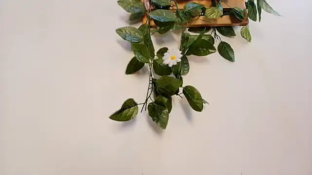 mss samy online show from 02/13/26, 03:13