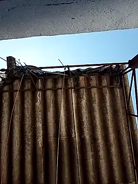 Snapshot of Percybr4561 chatting on 10/25/25, 01:29 Percybr4561 online show from 10/25/25, 01:29