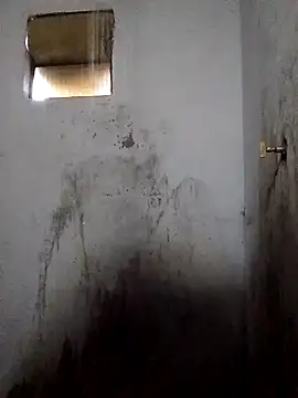 Snapshot of Percybr4561 chatting on 11/01/25, 01:13 Percybr4561 online show from 11/01/25, 01:13