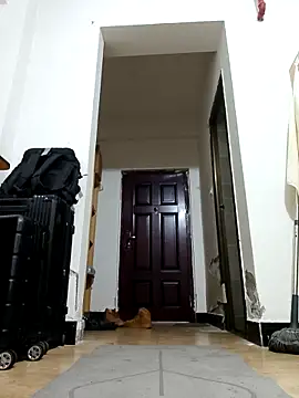 Snapshot of DDYY12341 chatting on 11/18/25, 11:58 DDYY12341 online show from 11/18/25, 11:58