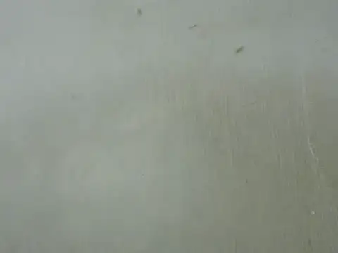 Snapshot of dickrus0077 chatting on 02/25/25, 05:25 dickrus0077 online show from 02/25/25, 05:25