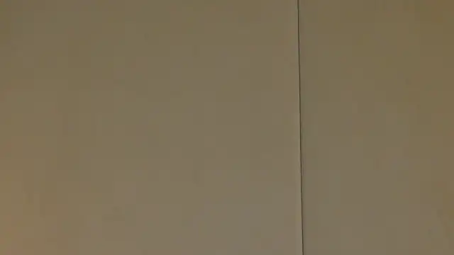 NattyDevon online show from 02/20/25, 06:39