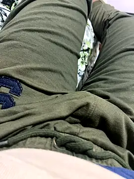 WildDick0007 online show from 11/11/25, 05:35