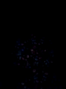 VyingAviary online show from 12/20/24, 12:38