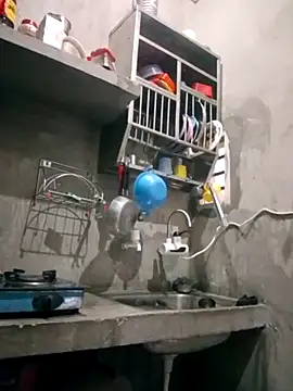 VyingAviary online show from 02/11/25, 04:01