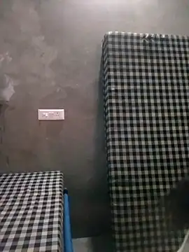 VyingAviary online show from 02/21/25, 05:09