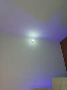 mich bittersweet online show from 04/11/26, 11:31