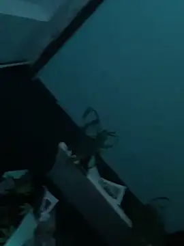 big cock is back online show from 12/29/24, 01:56