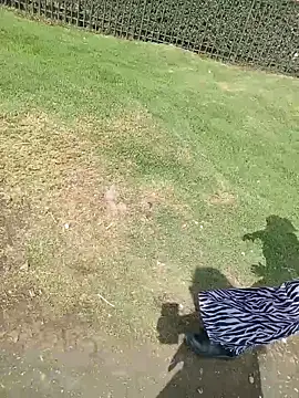 sophie banger online show from 03/11/26, 07:42