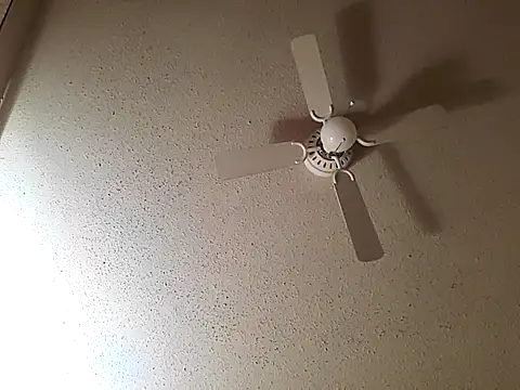 big8dall online show from 10/22/25, 07:52