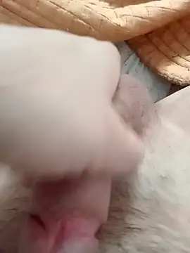 Snapshot of ionutiul chatting on 03/14/25, 02:41 ionutiul online show from 03/14/25, 02:41