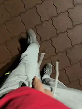 rundum40 online show from 01/24/25, 07:49