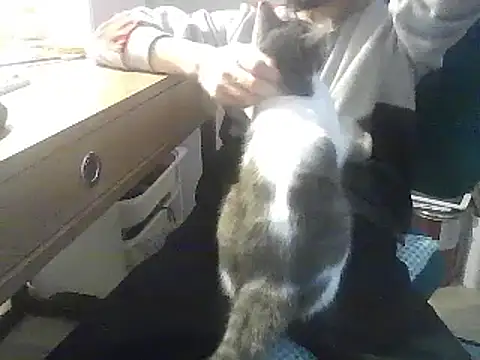 kallaviz online show from 01/07/26, 07:16