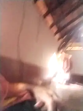 Snapshot of rajshank chatting on 12/29/24, 10:01 rajshank online show from 12/29/24, 10:01