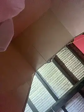 Dalton oficial online show from 02/13/26, 01:45