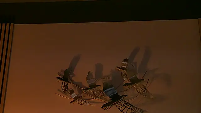 Snapshot of AngeliqueSkye chatting on 10/17/25, 03:10 AngeliqueSkye online show from 10/17/25, 03:10