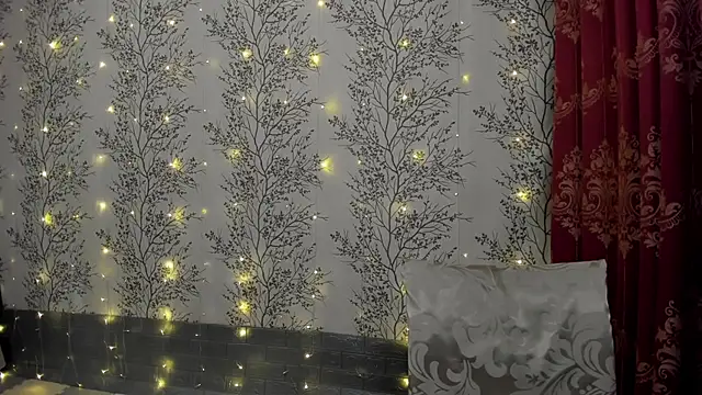 Snapshot of Mary0Lou chatting on 12/22/24, 01:00 Mary0Lou online show from 12/22/24, 01:00